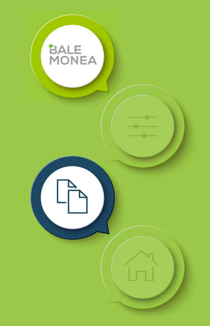 balemonea-administrativa